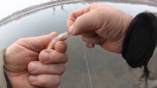 Fario nt Morm и мормышка. Или когда рыба не клюёт, от слова совсем. смотреть онлайн