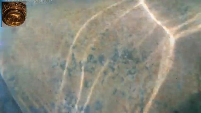 Потерял золотое кольцо на черном море смотреть онлайн