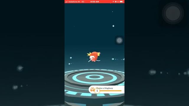 100 IV Magikarp evolution смотреть онлайн