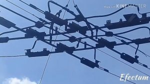 КАК ТРОЛЛЕЙБУС ПРОЕЗЖАЕТ СТРЕЛКИ?