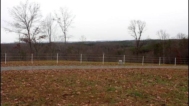 Miniature Donkeys Appaloosa Horses Pony Sauratown Mountains NC смотреть онлайн