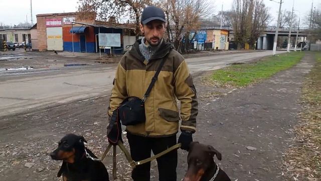 Специалист по поведению собак