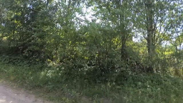 Лучеса-Сосновка-Новка. Вылазка на озеро Городно. смотреть онлайн