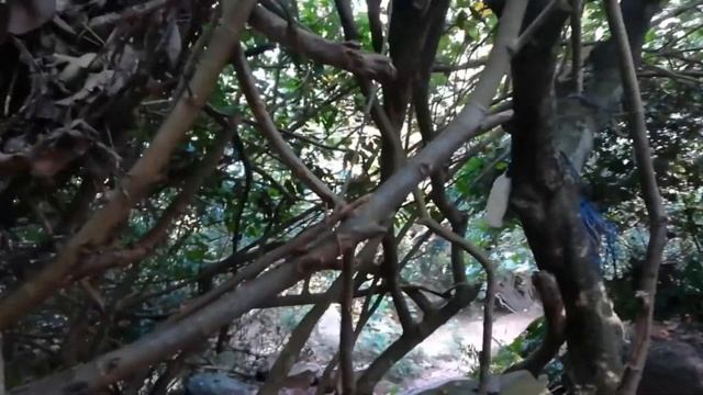 Sri Lanka. Jungle beach. Джангл бич. смотреть онлайн