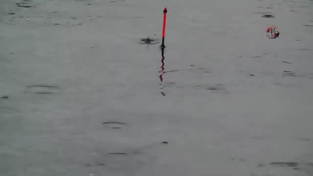 КРАСИВЫЕ ПОКЛЕВКИ-2. Рыбалка, Поплавочная удочка, Ловля на поплавок. Ловля карася смотреть онлайн