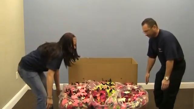 WCF Pallet Shipper Display - Bouquets.mpg смотреть онлайн