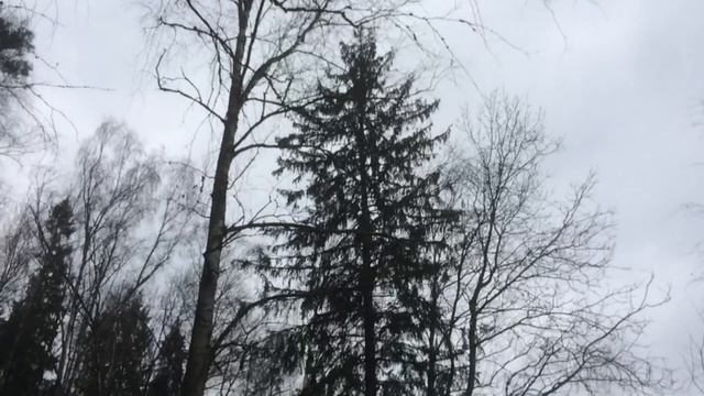Жена долго не могла забеременеть, но когда на тесте она увидела 2 полоски - её кинуло в холодный по смотреть онлайн