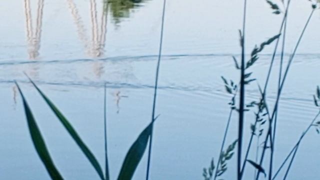 Рыбалка на Москве реке.Moscow river fishing Сталкеры удачи-47.Студия Волк ТВ.Studio Wolf TV смотреть онлайн