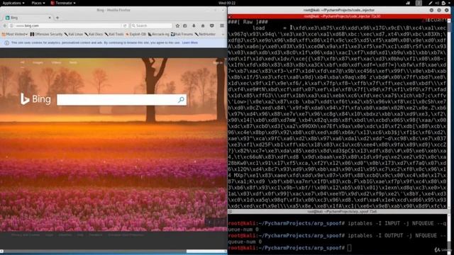 Курсы по программированию на python | Часть 58 | Анализируем HTTP ответы смотреть онлайн