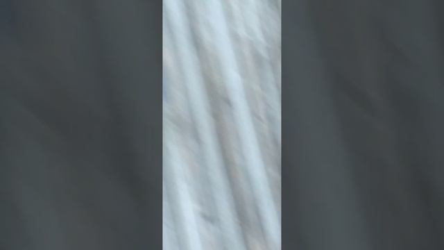 так камера ? тупя канал Женя смотреть онлайн