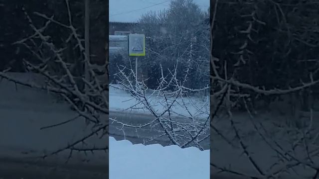 Весна.30 марта.Любимый месяц всех котов. Вьюга,холод,бездорожье...а что делать?Любимая зовёт 😻💓 смотреть онлайн