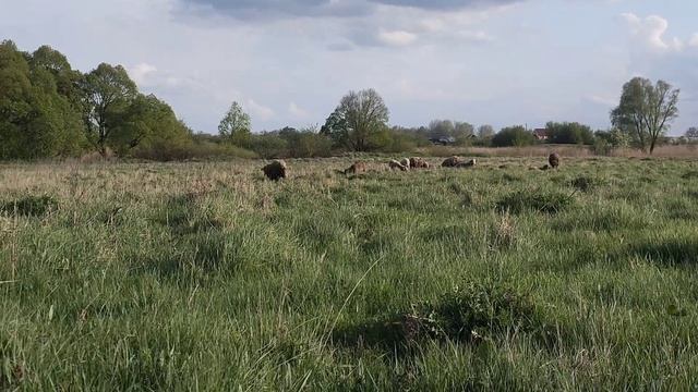 Попала сюда впервые и накопала столько всего! смотреть онлайн