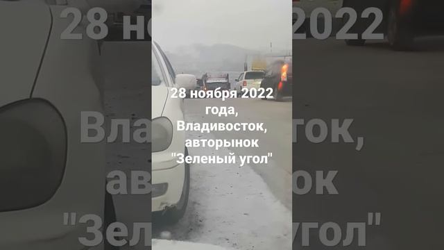 28 ноября 2022 года, Владивосток, авторынок "Зеленый угол" смотреть онлайн