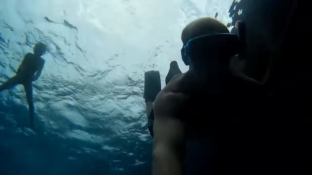 Египет. Отдых. Diving In the Red Sea! Stella di mare! Прыжки и купание В Красном Море! смотреть онлайн