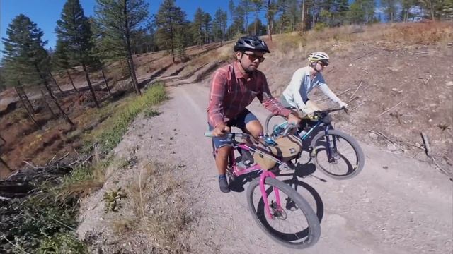 Why This "Dangerous" Shifter is Actually Awesome! смотреть онлайн
