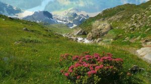 Самая Лучшая Музыка Для релакса и снятия стресса. Красивая природа.