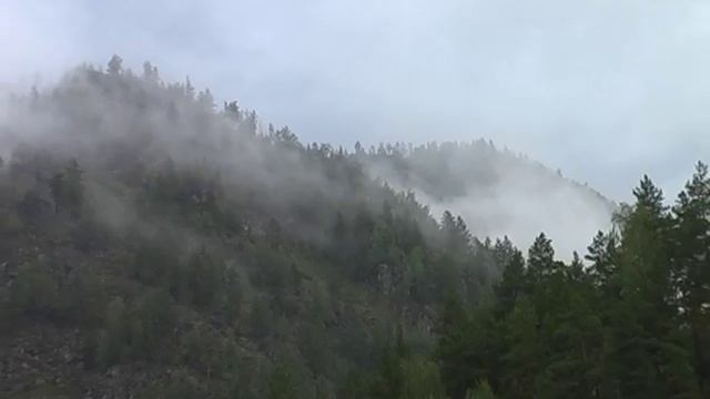 На Алтае дожди взахлёб.avi смотреть онлайн