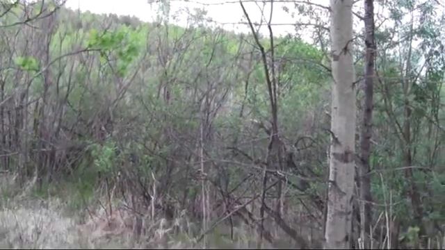 Вечерком с молодым Плакуном 15. 06. 19 г. смотреть онлайн