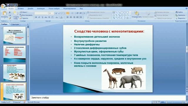 Биология 8 класс 1-2 неделя смотреть онлайн