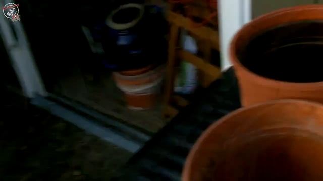 Es geht los! Kleinholz, Kompost und Keime! - iceworx.org смотреть онлайн