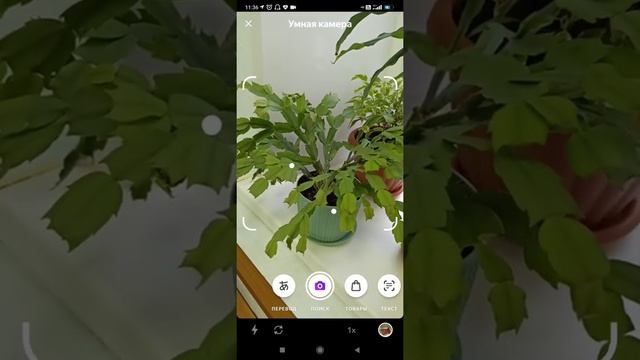 Как использовать умную камеру в приложении Яндекс. смотреть онлайн