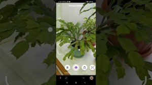 Как использовать умную камеру в приложении Яндекс.