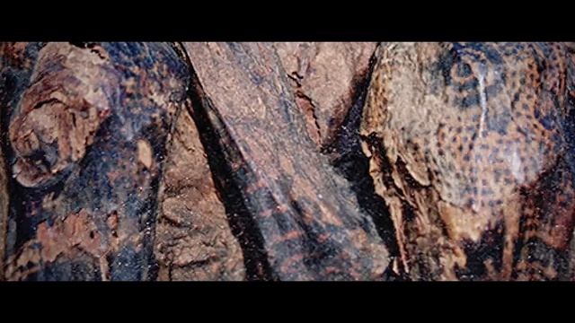 Dövmelerin İnsanlık Tarihi Kadar Eski Hikayesi смотреть онлайн