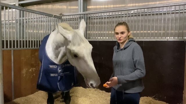 Maxima Stables 22-23 смотреть онлайн