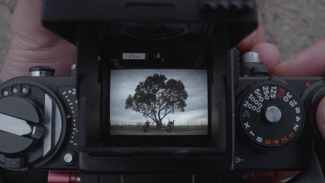 “那棵树好像也很孤独的吧？- The Loneliness”- Through the Viewfinder смотреть онлайн