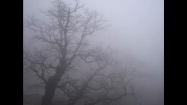 Утро туманное смотреть онлайн