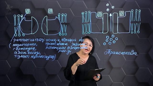 Мембраналық каналдар арқылы заттардың диффузиялануы. 10 сынып. смотреть онлайн