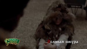 Ослиная шкура «В гостях у сказки» промо