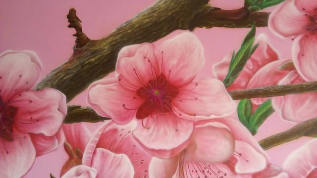 сакура в гостинной смотреть онлайн