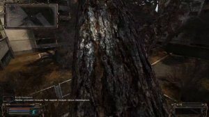 S T A L K E R  ОП 2  Невидимый тайник в центральной припяти и саркофаге прохождение   #228