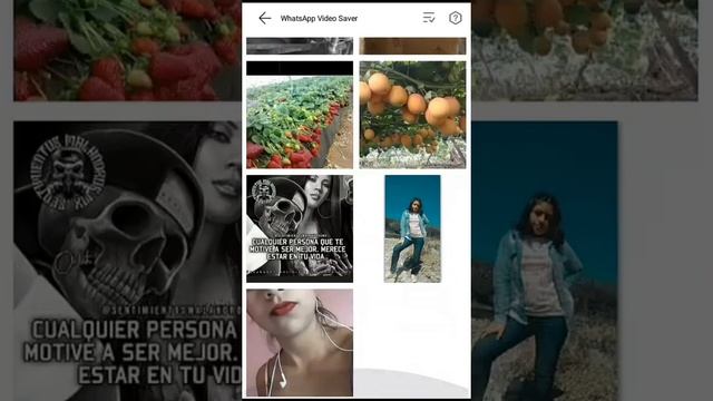Como descargar Estados WhatsApp usando Yestube? смотреть онлайн