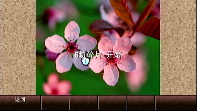 iQue Wii Menu & Channels Showcase смотреть онлайн