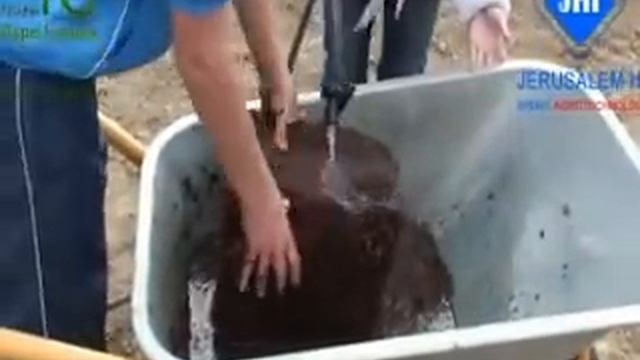 Субстрат кокосовый блок 5 кг смотреть онлайн