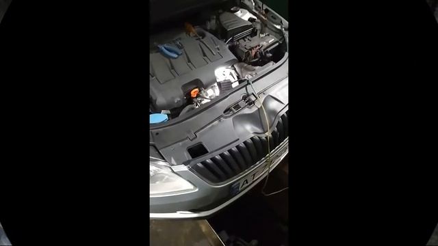 Ремонт Skoda Fabia