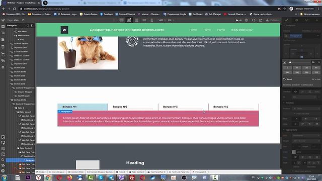 Создание секции «Ответы на вопросы» в виджете TABS смотреть онлайн