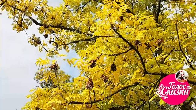 ? К.Д. Бальмонт - Осень | Стихи про осень для детей | Внеклассное чтение 3 класс смотреть онлайн