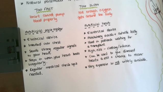 AQA Triple Biology B4.4 Artificial hearts and artificial pacemakers смотреть онлайн
