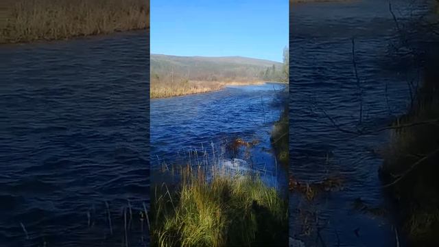 Наконец-то река Инзер. На берегу старой деревни Майгаште. смотреть онлайн