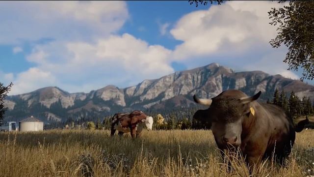 Знаешь, что такое безумие? Выбираем лучшую Far Cry из 9 игр серии. Кто на первом месте? | Чемп.PLAY смотреть онлайн