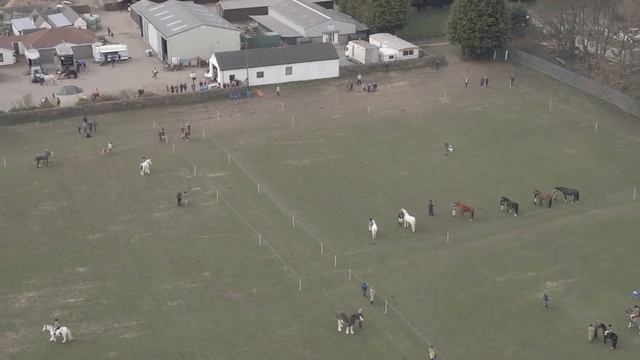 1st Show 2021, Misty Blue смотреть онлайн