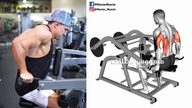 7 PERFECT EXERCISES TRICEP WORKOUT AT GYM ?