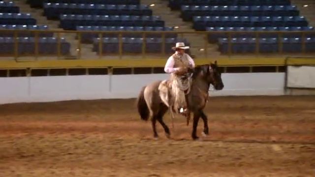Thunder, a kiger mustang, at the Rocky Mountain Horse Expo 2010 смотреть онлайн