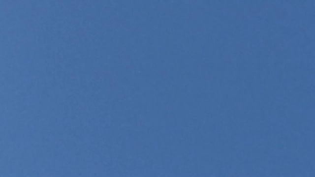 Посадка белого лохматого голубя смотреть онлайн