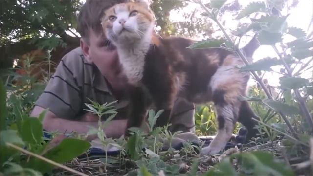 Что такое мораль и нравственность?