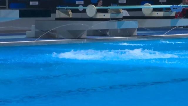 Cristina Wassen (GER) | 10m Platform | Women's Diving World Cup Xi'an