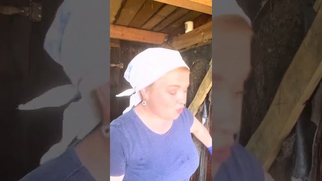 Гусыня сидит на яйцах смотреть онлайн